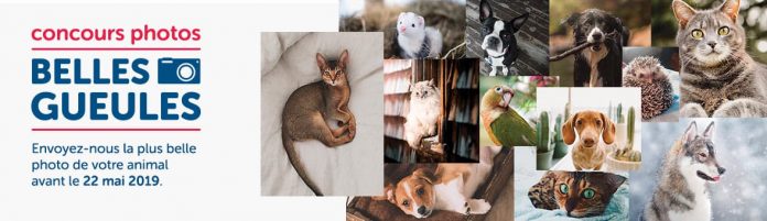 Concours Mondou Calendrier 2020 Concours Mondou Calendrier 2020