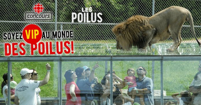 Concours Les Poilus Soyez VIP Au Monde Des Poilus Concours Les Poilus Soyez VIP Au Monde Des Poilus