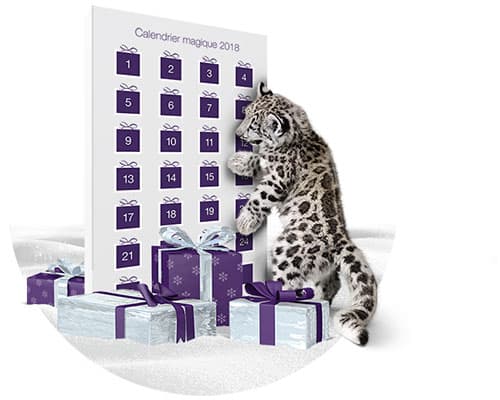 Concours Telus Calendrier Magique 2018 Concours Telus Calendrier Magique 2018