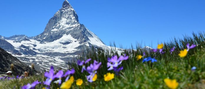 Concours A. Vogel Voyage En Suisse Concours A. Vogel Voyage En Suisse