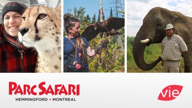 Concours Canal Vie Parc Safari Concours Canal Vie Parc Safari