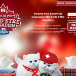 fier-detre-canadien-de-royalesupmd_sup_sup-promotionsroyale_ca_photo