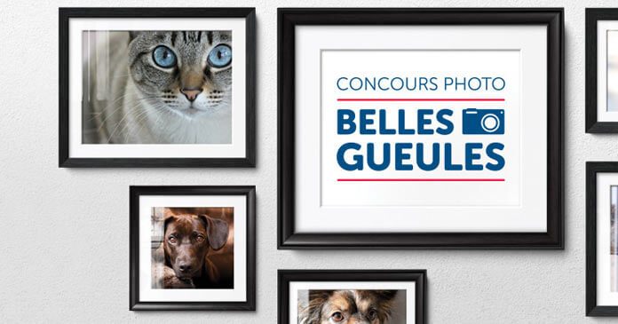 Concours Mondou Photo Belles Gueules 2017
