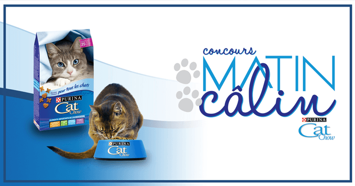 Concours Matin Câlin de Salut Bonjour et TVA Concours Matin Câlin de Salut Bonjour et TVA