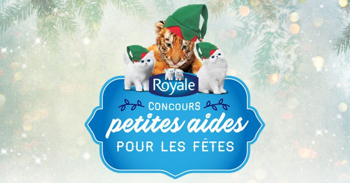 Concours Petites Aides Pour Les Fêtes de ROYALE Concours Petites Aides Pour Les Fêtes de ROYALE
