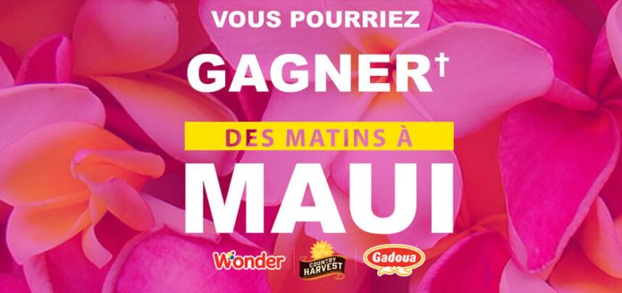 Concours Des Matins À Maui Concours Des Matins À Maui