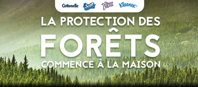 concours-kimberly-clark-nature Concours Kimberly Clark Nature