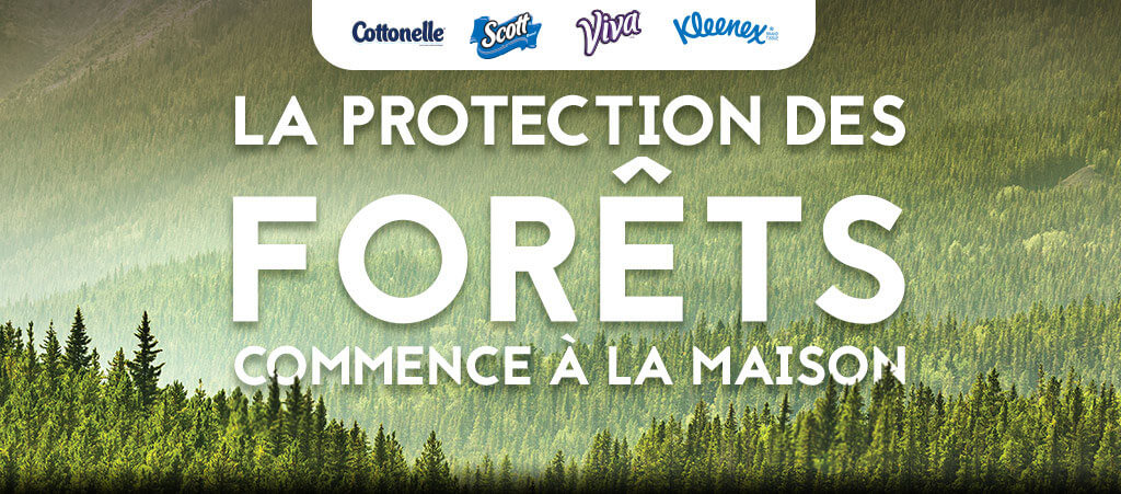 Concours Kimberly Clark Nature