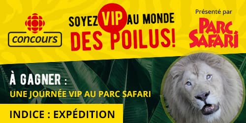 Concours Les Poilus Soyez VIP Au Monde Des Poilus Concours Les Poilus Soyez VIP Au Monde Des Poilus
