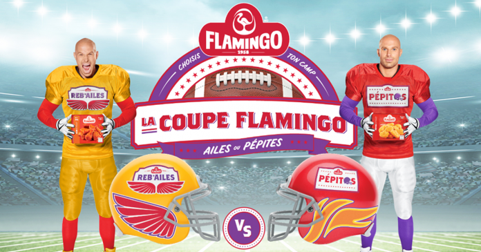 Concours Flamingo Choisis Ton Camp Concours Flamingo Choisis Ton Camp