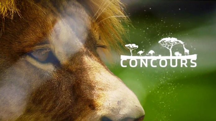 Concours Un Zoo Pas Comme Les Autres Concours Un Zoo Pas Comme Les Autres