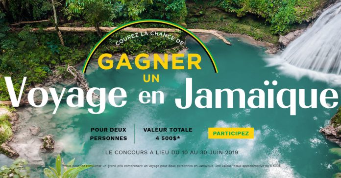 Concours La Vie En Rose Jamaïque