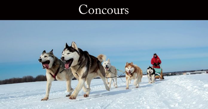 Concours Manoir Du Lac William 2023 Concours Manoir Du Lac William 2023