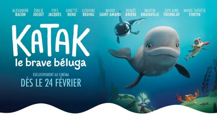 Concours Katak Le Brave Béluga 2023 Concours Katak Le Brave Béluga 2023